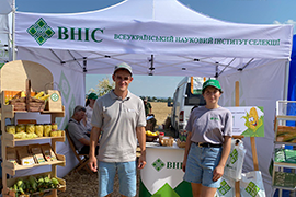 Самый мощный украинский производитель семян ВНИС пополнил портфолио новыми гибридами кукурузы